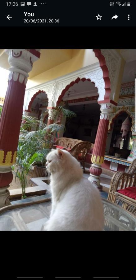 Sureli Haveli Apartment Jaipur Bagian luar foto