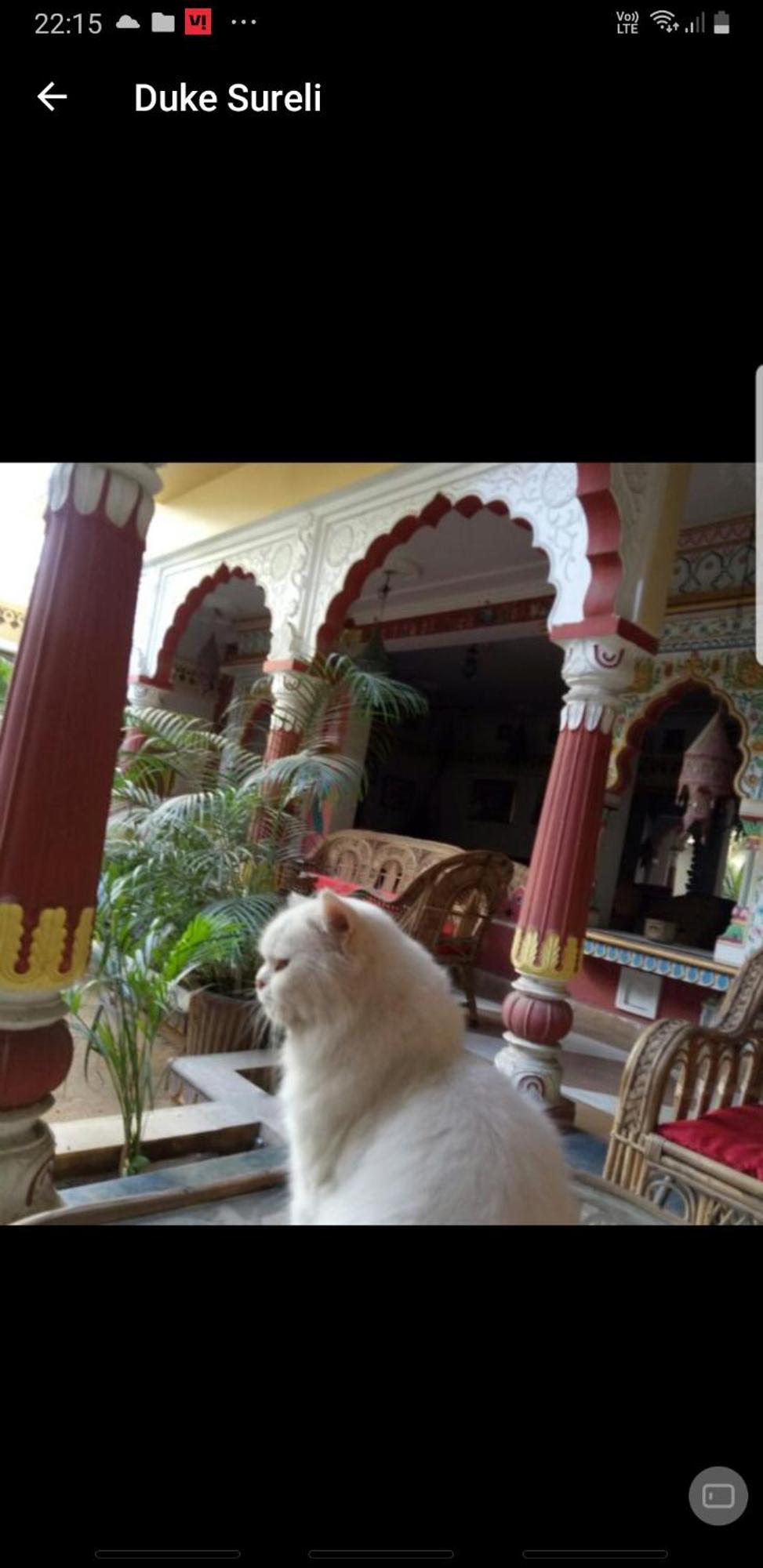 Sureli Haveli Apartment Jaipur Ruang foto