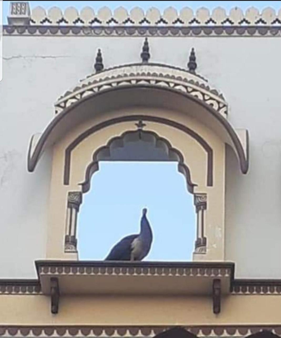 Sureli Haveli Apartment Jaipur Bagian luar foto